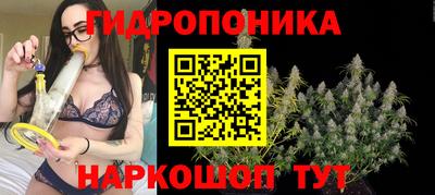 кокс Аргун