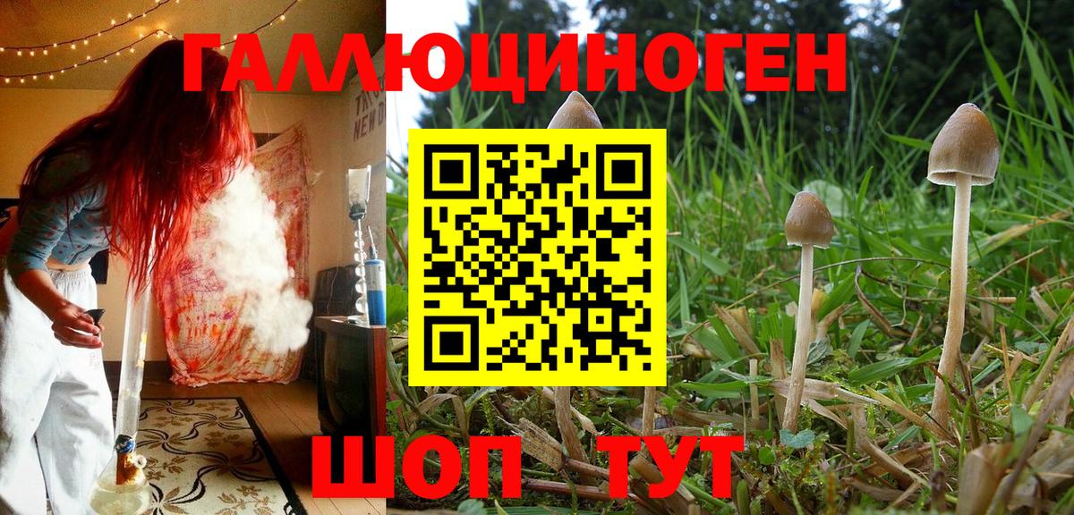 ГЕРОИН Альметьевск