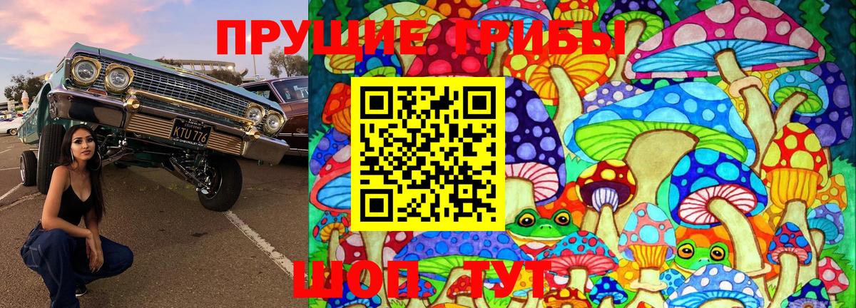 Галлюциногенные грибы Psilocybe Альметьевск